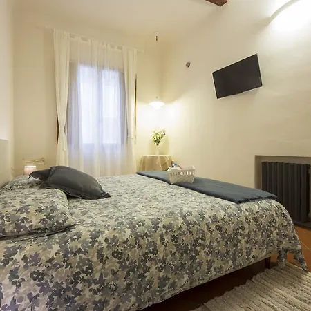 Cedar Pepi Firenze